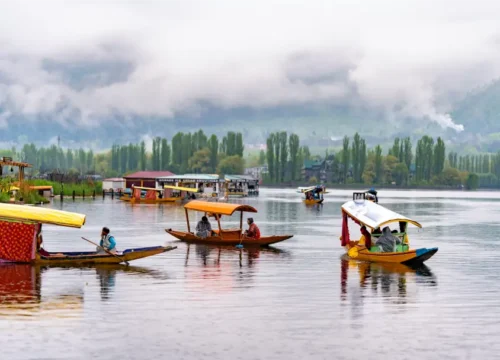Navigate Kashmir tours
