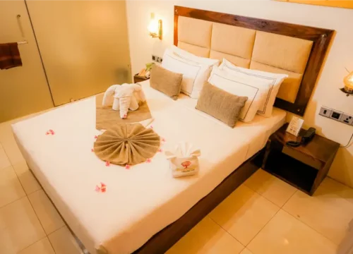 Navigate Kashmir tours