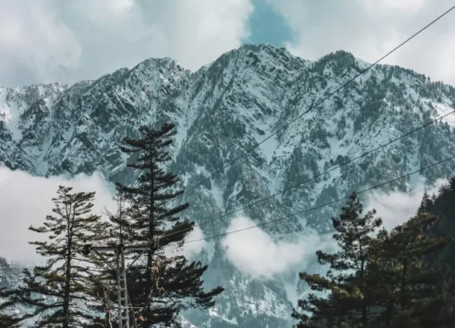 Navigate Kashmir tours