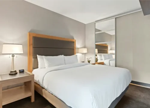 Navigate Kashmir tours