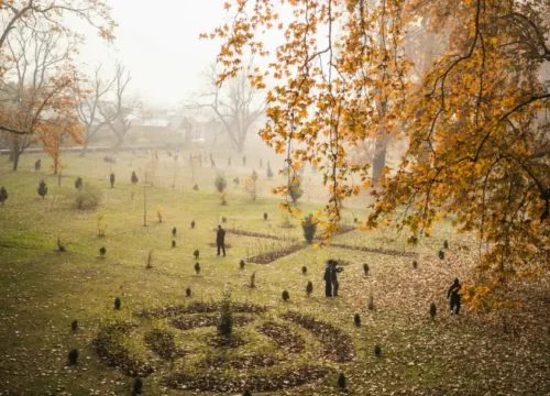 Navigate Kashmir tours