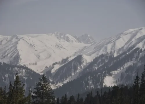 Navigate Kashmir tours