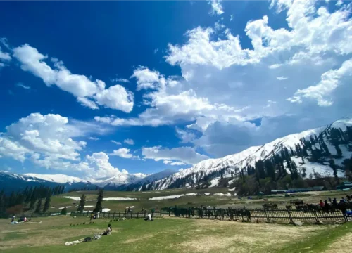 Navigate Kashmir tours