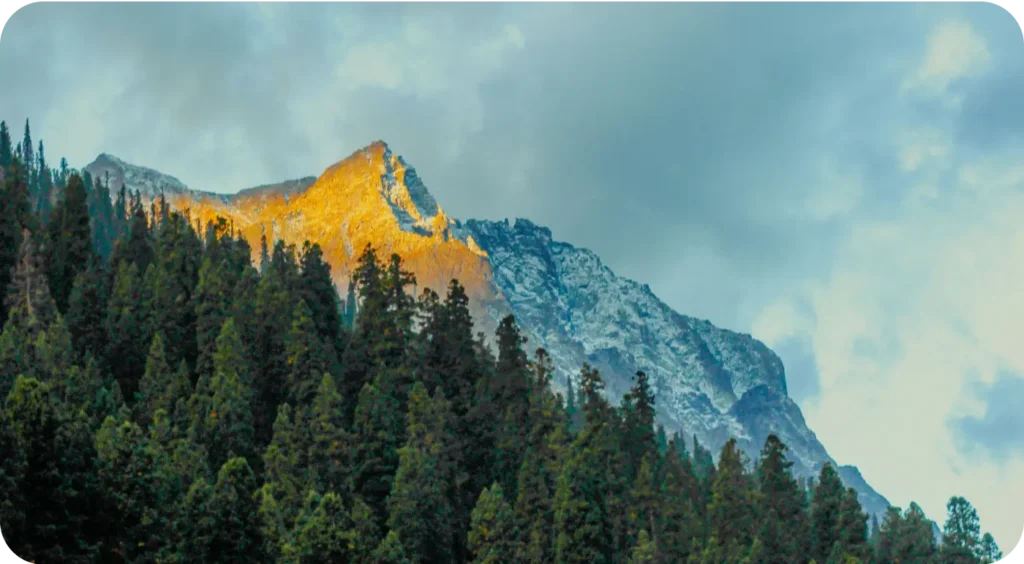 Sonmarg 5