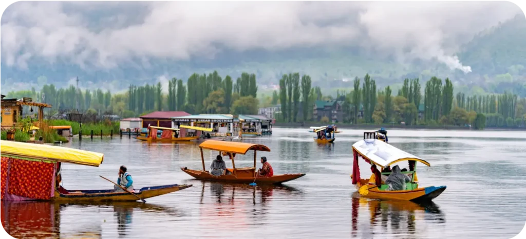 Srinagar packages