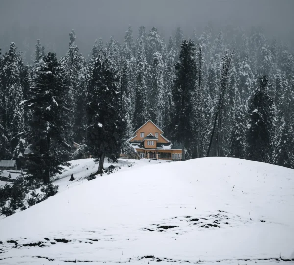 Best Time To Visit Kashmir